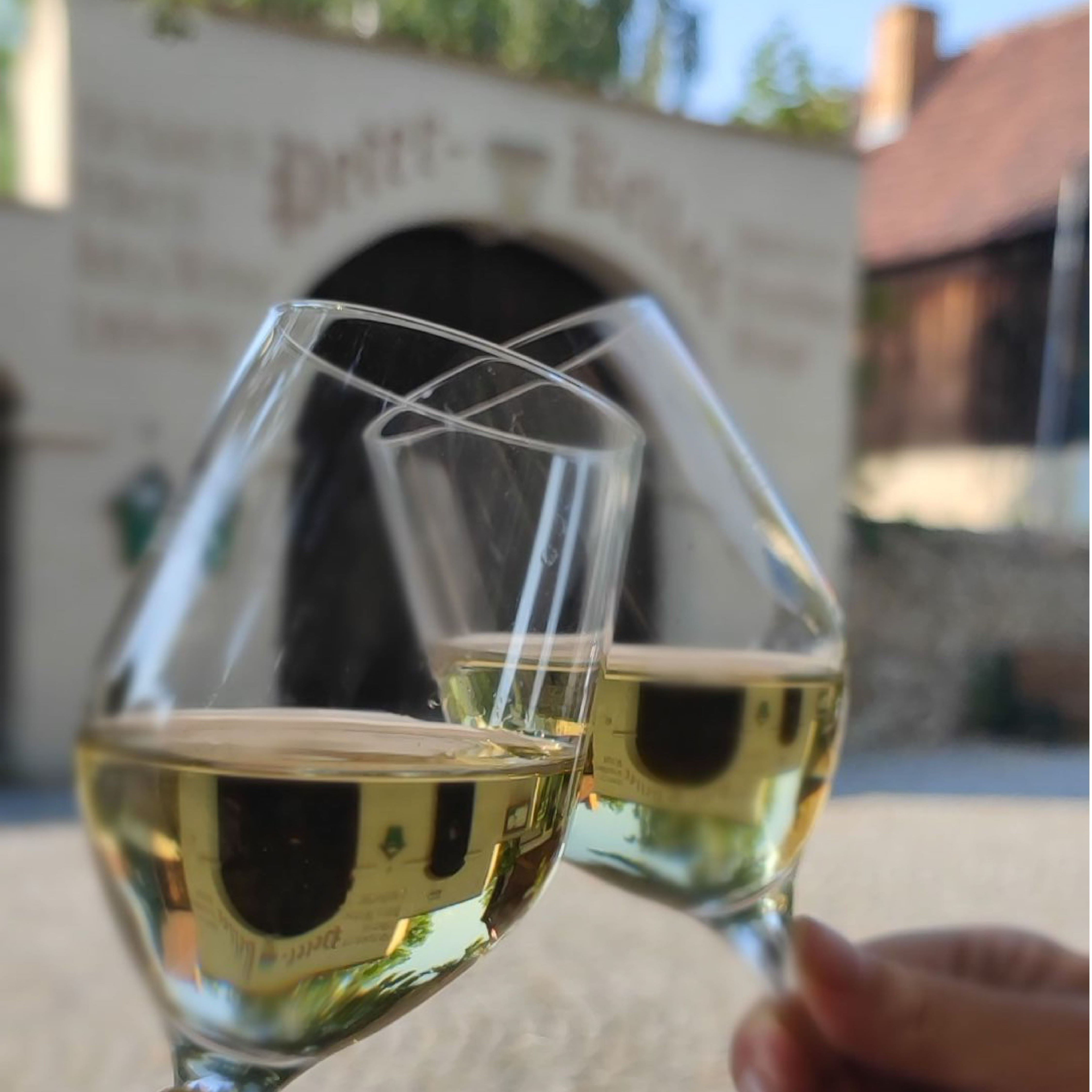 freitags.WEIN freitags.WEIN
